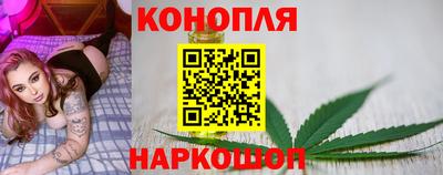 Альфа ПВП Канаш