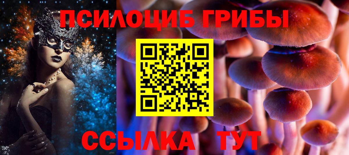 Псилоцибиновые грибы MAGIC MUSHROOMS Курчатов