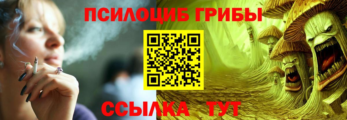 Галлюциногенные грибы Psilocybe  Галлюциногенные грибы GOLDEN TEACHER  Вход с VPN  Курчатов 